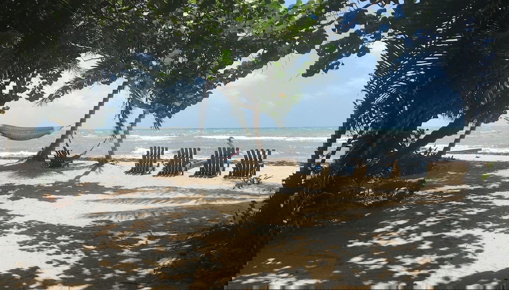 Imagem principal