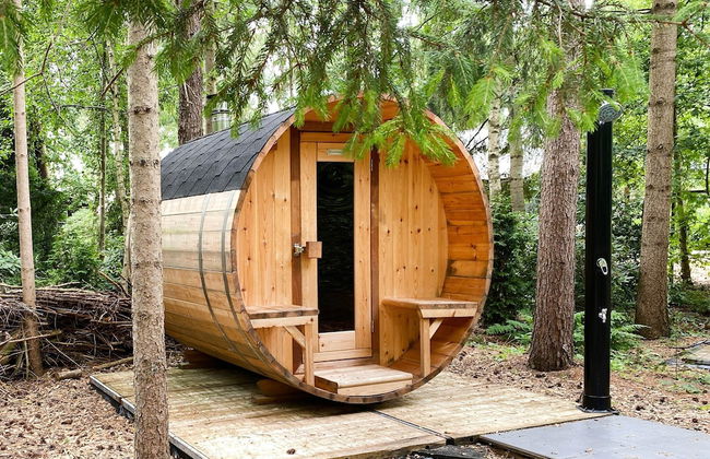 Holiday Home in Rheezerveen With Sauna - Foto 30