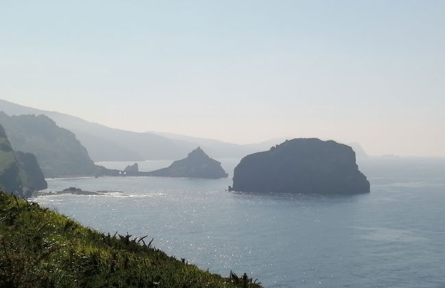 Etxelaia - Foto 46