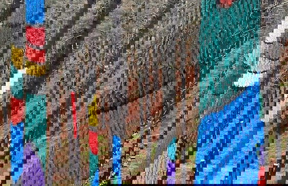 Etxelaia - Foto 50