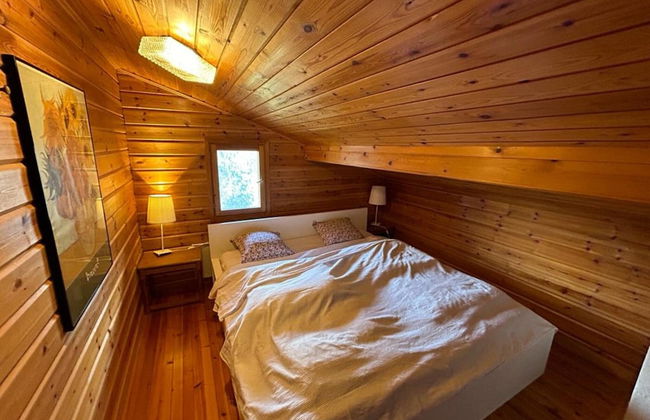 Chalet With Garden and Mountain View - Photo 3