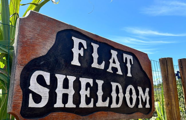 FLAT SHELDOM - Foto 7