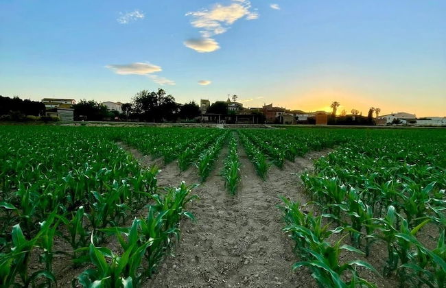 Can Pujol Turisme Rural - Photo 44