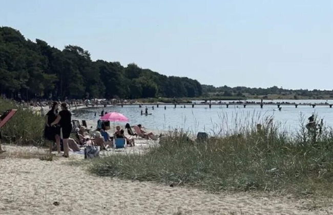 4 Star Holiday Home in Solvesborg - Foto 50