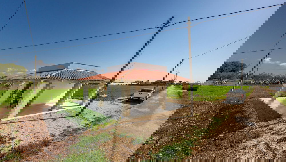 Primary image