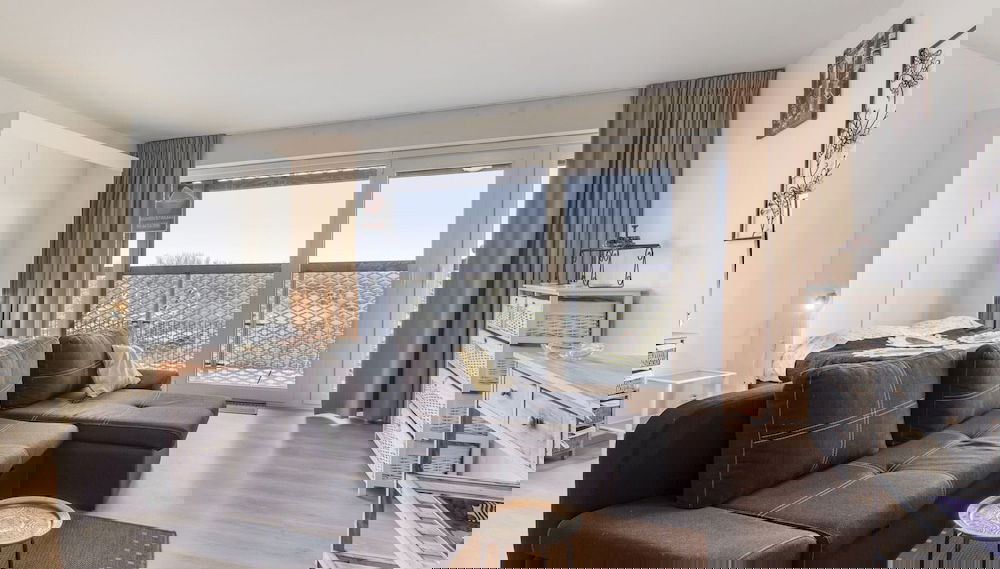 Primary image