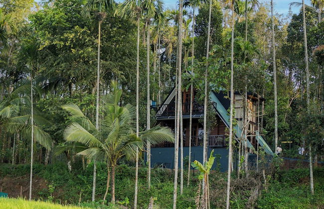 Ethnic Villa Wayanad - Foto 67