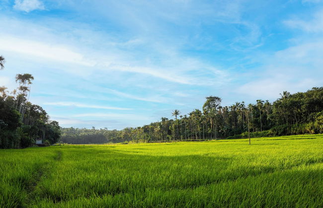 Ethnic Villa Wayanad - Foto 66