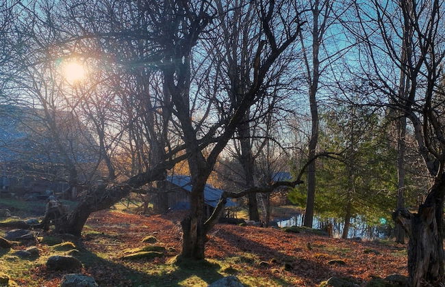 Relaxing Nature Retreat Perfect for Large Groups - Foto 61