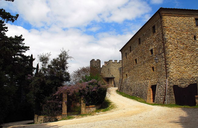 Castello di Giomici - Photo 65