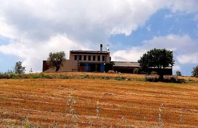 Agriturismo Le Piccole Macie - Foto 43