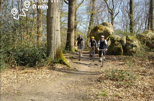 Photo 19 - Kabanéo - Gîte et Sauna- Samois sur Seine - Forêt de Fontainebleau