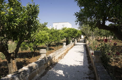 Foto 32 - Masseria Capece