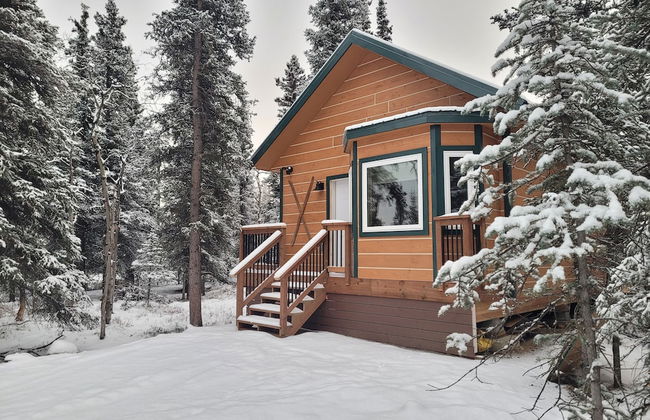Denali Wild Stay - Foto 19