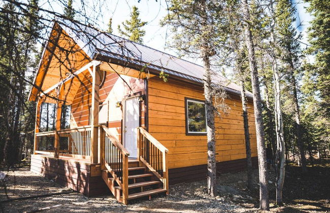 Denali Wild Stay - Foto 55