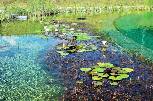 Photo 34 - I Larici