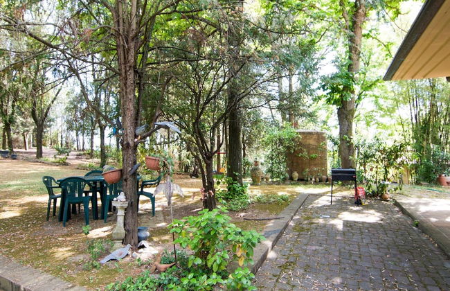 Holiday Home in Fano Near the Beach - Photo 30