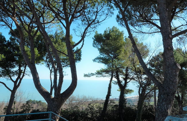 Enchanting Coastal With Views - Photo 38