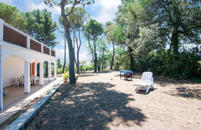 Enchanting Coastal With Views - Photo 34