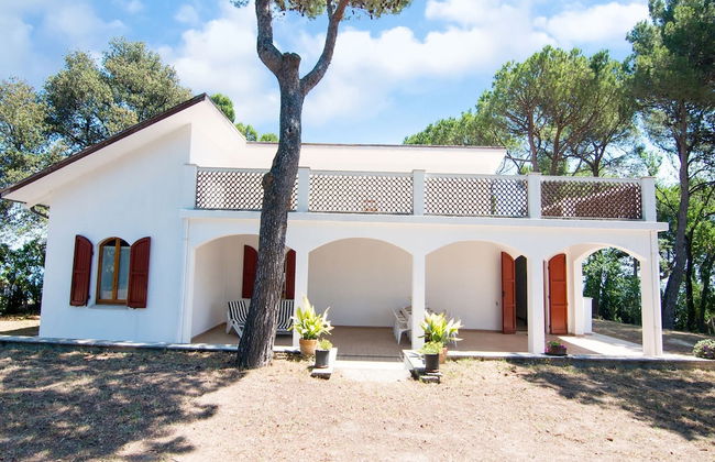 Enchanting Coastal With Views - Photo 37