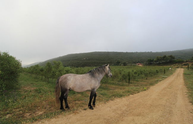 Masia Heredad La Boquilla - Foto 49