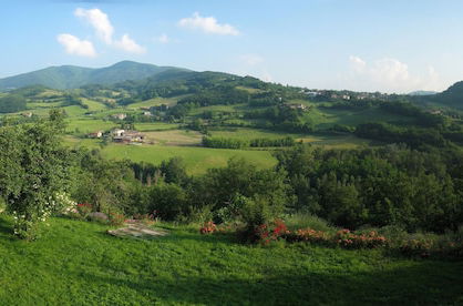 Foto 59 - Bioagriturismo Olistico Valtidone Verde