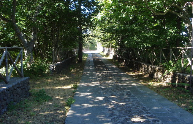 Bosco Ciancio - Foto 50