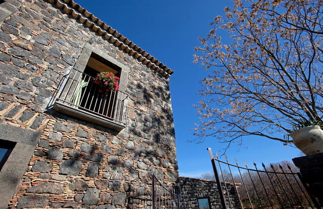Bosco Ciancio - Foto 49