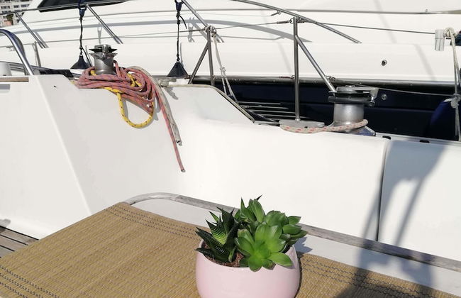 Amber Sun - Boat & Breakfast - Photo 26