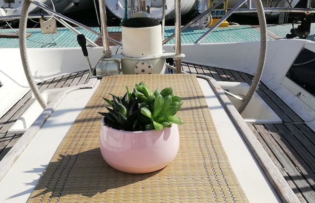 Amber Sun - Boat & Breakfast - Photo 27