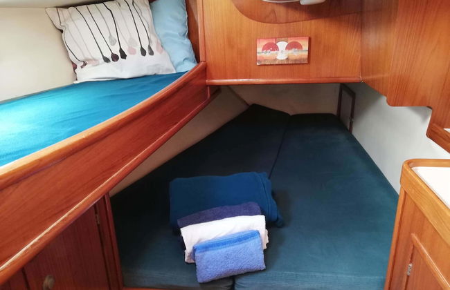 Amber Sun - Boat & Breakfast - Photo 4