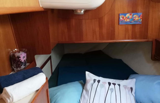 Amber Sun - Boat & Breakfast - Photo 3