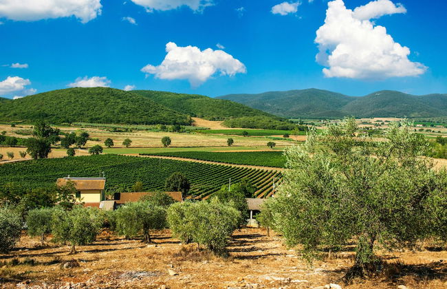 Poggiolivi Agriturismo Bio in Maremma - Foto 56