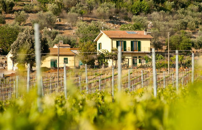 Poggiolivi Agriturismo Bio in Maremma - Foto 23