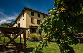 Photo 3 - Fattoria Sant'Appiano