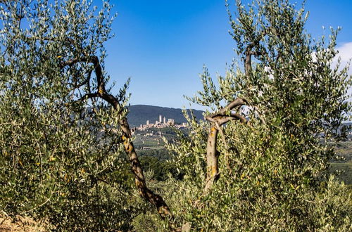 Photo 21 - Ricciolo 4 in San Gimignano