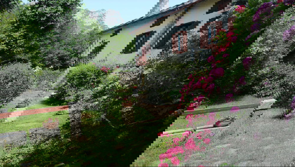 Imagem principal