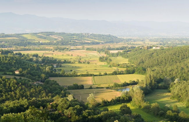 Ar-a291-loto0at - Villa Vittoria d Anghiari 7 3 - Foto 47