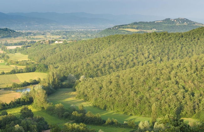 Ar-a291-loto0at - Villa Vittoria d Anghiari 7 3 - Foto 48
