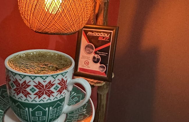 Aydogdu Suit - Foto 5