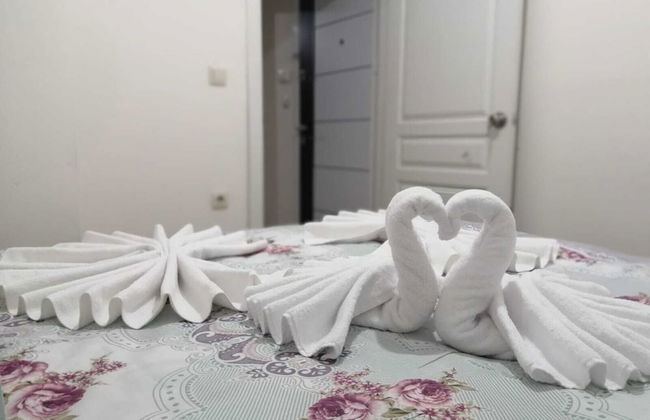 Aydogdu Suit - Foto 15