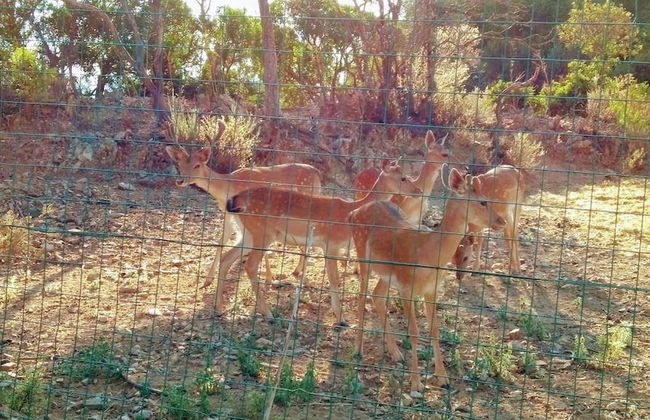 Agriturismo I Mandorli - Photo 29