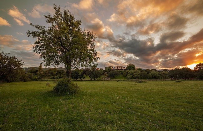 Agriturismo I Mandorli - Photo 28