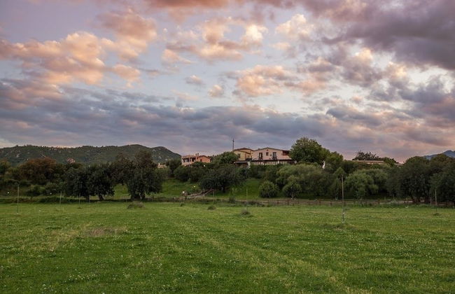 Agriturismo I Mandorli - Photo 30