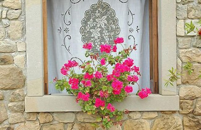 San Noto Turismo Rurale - Foto 74