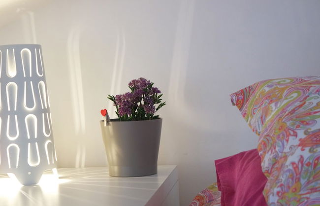 Cilento Apartment - Foto 9