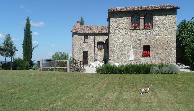 Foto 1 - Agriturismo Colli di Travale