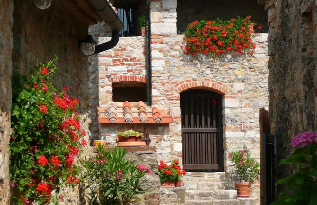 Agriturismo Colli di Travale - Foto 53