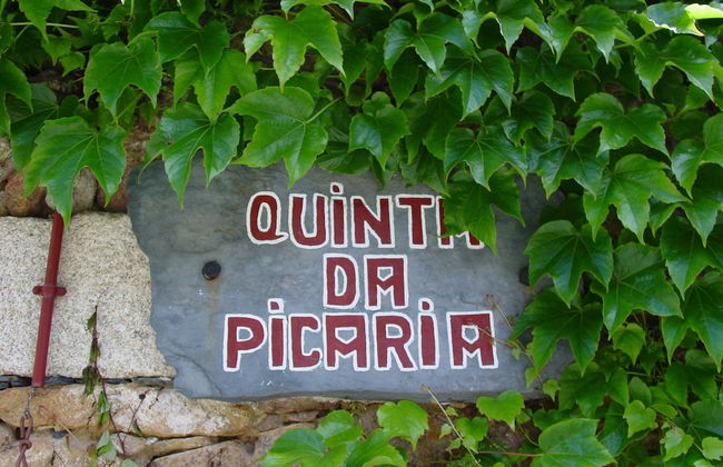 Quinta da Picaria - Foto 37