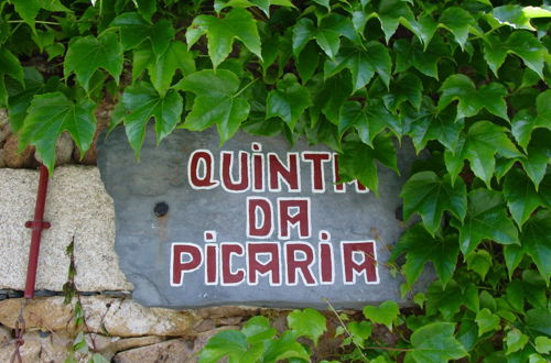 Foto 37 - Quinta da Picaria
